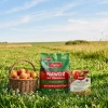 Wysokoazotowy nawóz Vegano 8 kg + nawóz do drzew i krzewów owocowych Target 1 kg (ZESTAW)