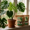 Żywe podłoże do monstery, filodendronów i roślin tropikalnych z dodatkiem Wermihumusu Vegano - 15 l (3 x 5 l)