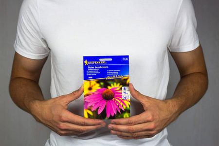 Jeżówka 'Roter Leuchtstern' – Purpurowa – Kiepenkerl