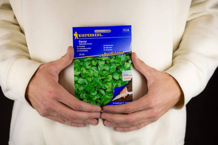 Roszponka 'Favor' – Na Taśmie – Kiepenkerl