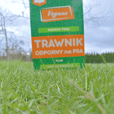 Trawnik odporny na psa – nasiona traw z mikrokoniczyną 1 kg Vegano
