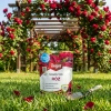 Nawóz do róż w proszku (rozpuszczalny) wspierający kwitnienie – 150 g Target