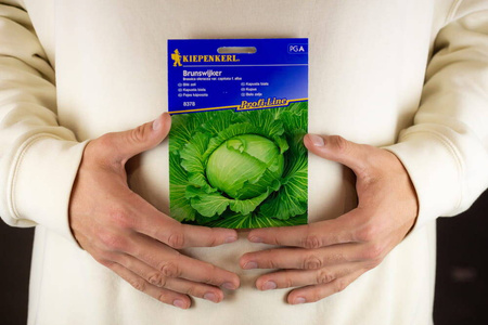 Kapusta Głowiasta Biała 'Brunswijker' – Kiepnekerl