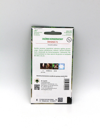 Ogórek Konserwowy ‘Śremski’ F1 – 5 g Legutko