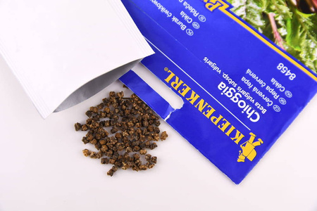 Burak Ćwikłowy 'Chioggia' – Odporny – Kiepenkerl