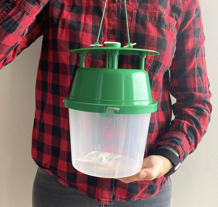 Pułapka Feromonowa Na Ćmę Bukszpanową