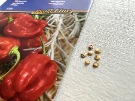 Papryka czerwona 'Habanero' F1 - Kiepenkerl