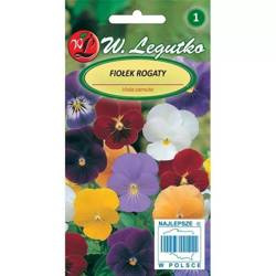 Fiołek Rogaty – Mix Kolorów – Legutko