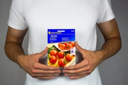 Pomidor Koktajlowy 'Charmant' F1 – Kiepenkerl