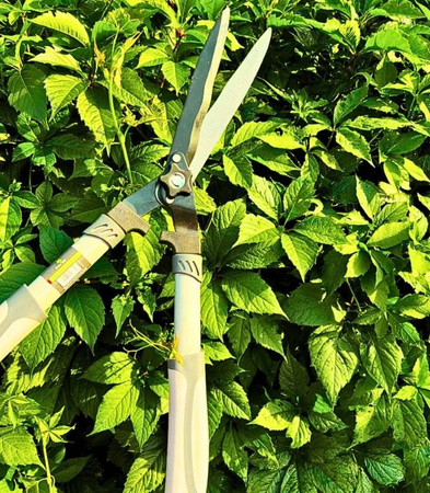 Nożyce do żywopłotu 21cm Green Star