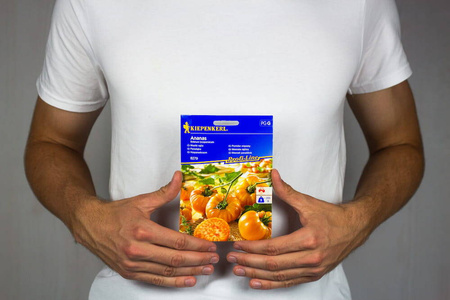 Pomidor 'Ananas' – Mięsisty – Kiepenkerl