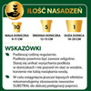 Podłoże Do Paproci – 3 l Substral