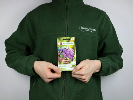 Kalafior ‘Di Sicilia Violetto’ – 1 g Legutko