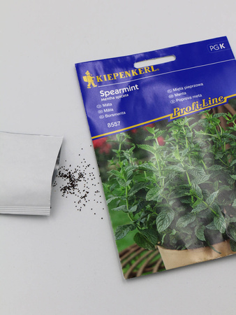 Mięta Pieprzowa 'Spearmint' – Kiepenkerl