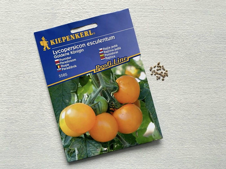 Pomidor 'Goldene Königin' – Pomarańczowy – Kiepenkerl