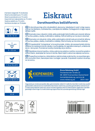 Przypołudnik stokrotkowy Eiskraut Kiepenkerl