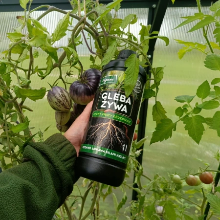 Gleba Żywa (efekt pracy dżdżownic) wermikompost w płynie do warzyw, owoców, trawnika i roślin ozdobnych – 1 l Vegano