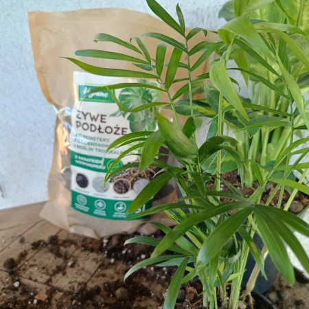 Żywe podłoże do monstery, filodendronów i roślin tropikalnych z dodatkiem Wermihumusu Vegano - 15 l (3 x 5 l)
