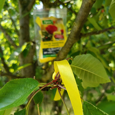 Żółte tasiemki na mszyce – 20 szt. Vegano