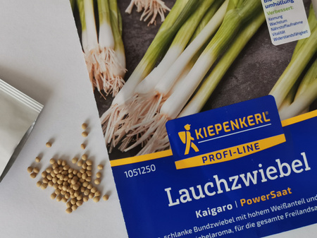 Cebula dymka 'Kaigaro' - Nasiona Otoczkowane - Kiepenkerl