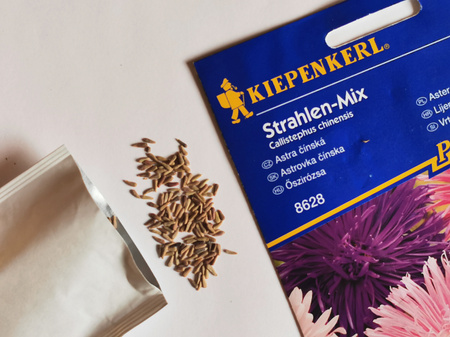 Aster chiński 'Strahlen-Mix' - Nasiona - Kiepenkerl