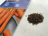 Marchew 'Flyaway' F1 – Odporna – Kiepenkerl