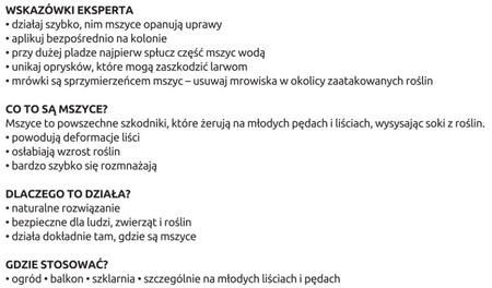 Mszyca Stoper – 200 larw biedronki dwukropki – na 10 roślin lub 10 m²
