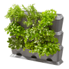 Ogród Wertykalny NatureUp! – Gardena