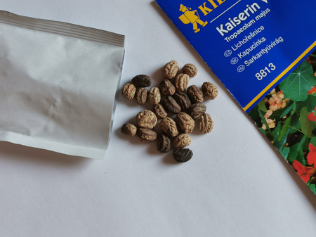 Nasturcja 'Kaiserin Victoria' - Nasiona - Kiepenkerl