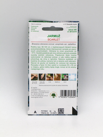 Jarmuż ‘Scarlet’ – 1 g Legutko