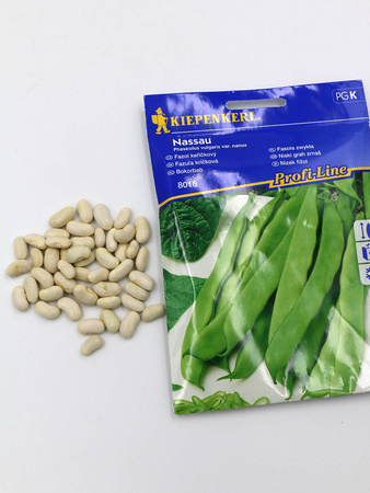 Fasola Zwykła 'Nassau' – Kiepenkerl