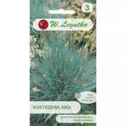 Kostrzewa Sina – Legutko