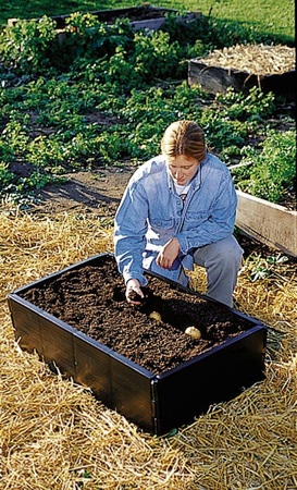Mini Podwyższona Grządka – Garland
