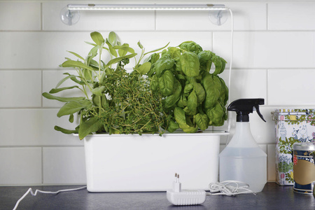 Zawieszenie Do Lamp LED Z Przyssawkami – 40 cm Nelson Garden