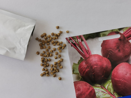 Burak 'Pablo' F1 - Nasiona Otoczkowane - Kiepenkerl