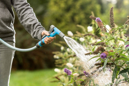 Zraszacz Pistoletowy HYDRON IDEAL™ – 50-737 Cellfast