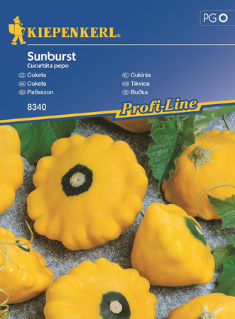 Patison 'Sunburst' – Nasiona Kiepenkerl