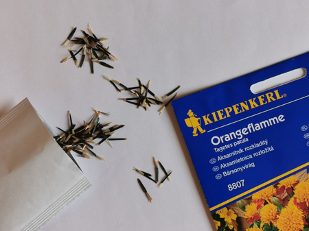 Aksamitka rozpierzchła 'Orangeflamme' - Nasiona - Kiepenkerl