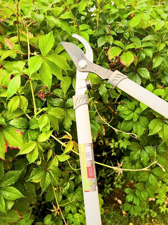 Nożyce do gałęzi 66 cm Green Star