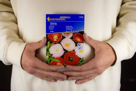 Mak polny – Mix Kolorów – Kiepenkerl