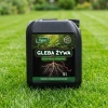 Gleba Żywa (efekt pracy dżdżownic) wermikompost w płynie do warzyw, owoców, trawnika i roślin ozdobnych – 5 l Vegano