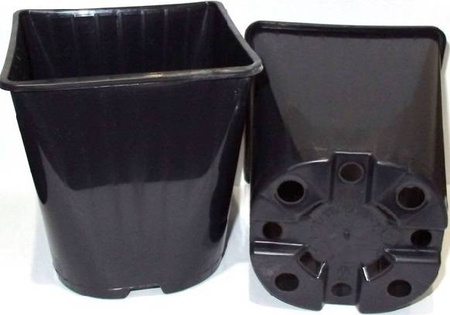 Doniczki Produkcyjne Kwadratowe – 11x11 cm 50 szt. Zoigarden