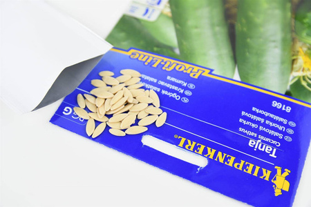 Ogórek 'Tanja' – Szklarniowy – Kiepenkerl