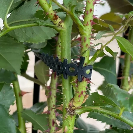 Agro Opaska – Opaska Zaciskowa Dla Roślin – 10 szt. Agrimpex