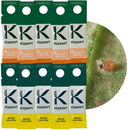 Dobroczynek kalifornisjki 5 szt. + dobroczynek swirski 5 szt. – drapieżne roztocza (ZESTAW) – Vegano