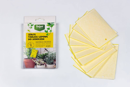 Żółte Tablice Lepowe Na Szkodniki Roślin Domowych – 10 szt. Target