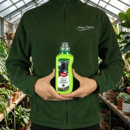 Nawóz do roślin zielonych w płynie – poprawia kolor liści – 0,5 l Target