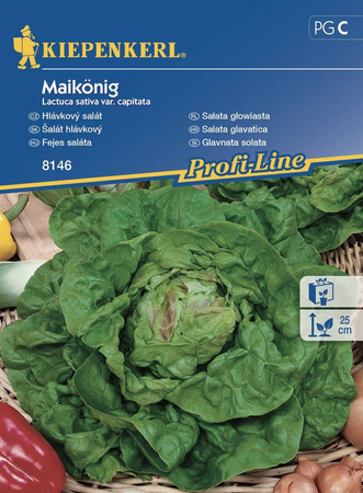 Sałata Głowiasta 'Maikonig' – Kiepenkerl
