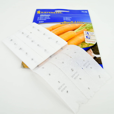 Marchew 'Mokum' F1 – Na Taśmie – Kiepenkerl