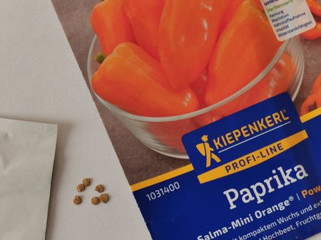 Papryka 'Salama-Mini Orange' F1 - Nasiona Otoczkowane - Kiepenkerl